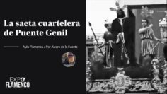 Privado: [ID: 0AxP6_rwdOU] Youtube Automatic