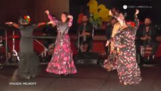 Privado: [ID: 3xsbNg7fn8w] Youtube Automatic