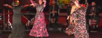 Privado: [ID: 3xsbNg7fn8w] Youtube Automatic