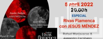 Privado: [ID: 5Egkhf9h04o] Youtube Automatic