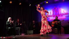 Privado: [ID: 7uuP66ykU1Y] Youtube Automatic