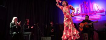 Privado: [ID: 7uuP66ykU1Y] Youtube Automatic