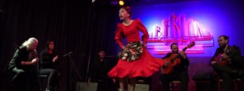 Privado: [ID: aiakMqE66hQ] Youtube Automatic