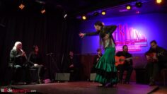 Privado: [ID: cY5CabrRUwY] Youtube Automatic