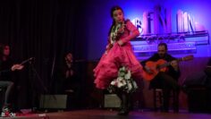 Privado: [ID: fMnJnnA04jQ] Youtube Automatic