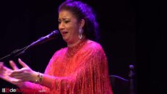 Privado: [ID: fy-imyrQMUI] Youtube Automatic