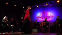 Privado: [ID: GGKwuspn7lQ] Youtube Automatic