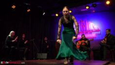 Privado: [ID: IrqFushrYAQ] Youtube Automatic