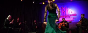 Privado: [ID: IrqFushrYAQ] Youtube Automatic