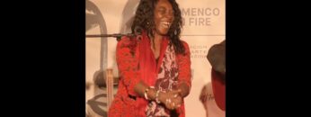 Privado: [ID: Kn5Q17lP2uM] Youtube Automatic