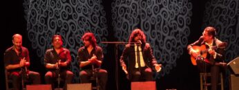 Privado: [ID: LsfL0WrTcog] Youtube Automatic