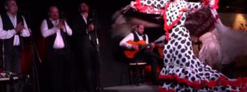 Privado: [ID: P_ay8rMH6t8] Youtube Automatic