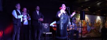 Privado: [ID: Pm0uqv85KVQ] Youtube Automatic