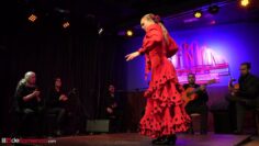 Privado: [ID: r0IoLjMwFB4] Youtube Automatic