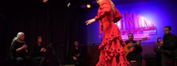 Privado: [ID: r0IoLjMwFB4] Youtube Automatic