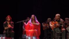 Privado: [ID: RG5bPAYnWGM] Youtube Automatic