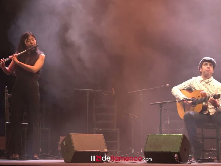 Privado: [ID: vwS9–OE9Kc] Youtube Automatic