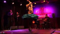 Privado: [ID: Wb3IZCs3uxs] Youtube Automatic