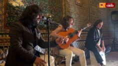 Privado: [ID: YPKpm5LYvj8] Youtube Automatic