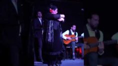 Privado: [ID: ZLeGY_MJo1k] Youtube Automatic