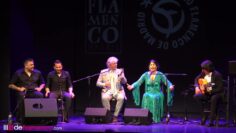 Privado: [ID: 1cX0LzAI7sk] Youtube Automatic