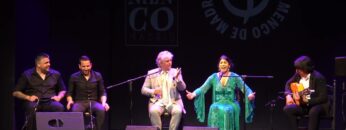 Privado: [ID: 1cX0LzAI7sk] Youtube Automatic