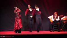 Privado: [ID: 2eyp1PpwxWs] Youtube Automatic