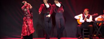 Privado: [ID: 2eyp1PpwxWs] Youtube Automatic