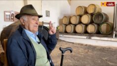 Privado: [ID: 3NNVZ83Jp3U] Youtube Automatic