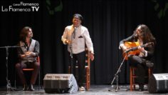 Privado: [ID: HbjeXq3dk0E] Youtube Automatic