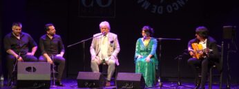 Privado: [ID: MDTxtVgdDdM] Youtube Automatic