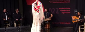 Privado: [ID: QLsjNQKTZVg] Youtube Automatic