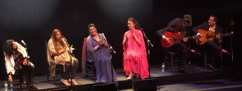 Privado: [ID: ssnBgDAl7Yc] Youtube Automatic