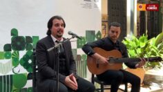 Privado: [ID: WTTO7iM_BiA] Youtube Automatic