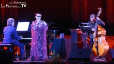 Privado: [ID: xOMJ_mzxVqw] Youtube Automatic