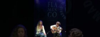 Privado: [ID: 5Sp-Y9OdiRk] Youtube Automatic