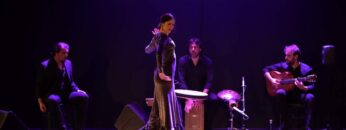 Privado: [ID: cLFfRZ1gc4k] Youtube Automatic