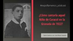 Privado: [ID: eswnZCaLW0Y] Youtube Automatic