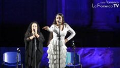 Privado: [ID: eu0MmqoQpug] Youtube Automatic