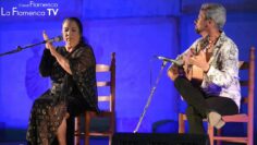 Privado: [ID: l_SRJJEaH_s] Youtube Automatic