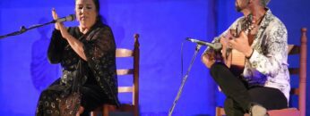 Privado: [ID: l_SRJJEaH_s] Youtube Automatic