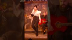 Privado: [ID: VunbUU5-P5U] Youtube Automatic