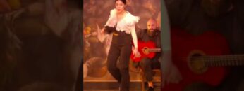 Privado: [ID: VunbUU5-P5U] Youtube Automatic