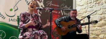 Privado: [ID: waDh1837y6Y] Youtube Automatic