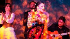 Privado: [ID: wc1FL4gswiI] Youtube Automatic