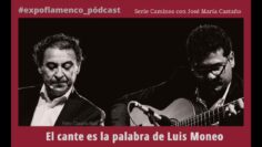 Privado: [ID: xWKE2GEXDMU] Youtube Automatic