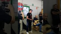 Privado: [ID: z63DNwtExe4] Youtube Automatic