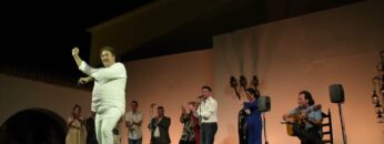 Privado: [ID: 8ukY2gYRjZo] Youtube Automatic