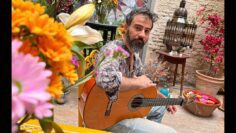 Privado: [ID: fqjcaLzKkBE] Youtube Automatic