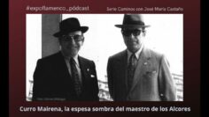 Privado: [ID: hgIWjmi-7FI] Youtube Automatic